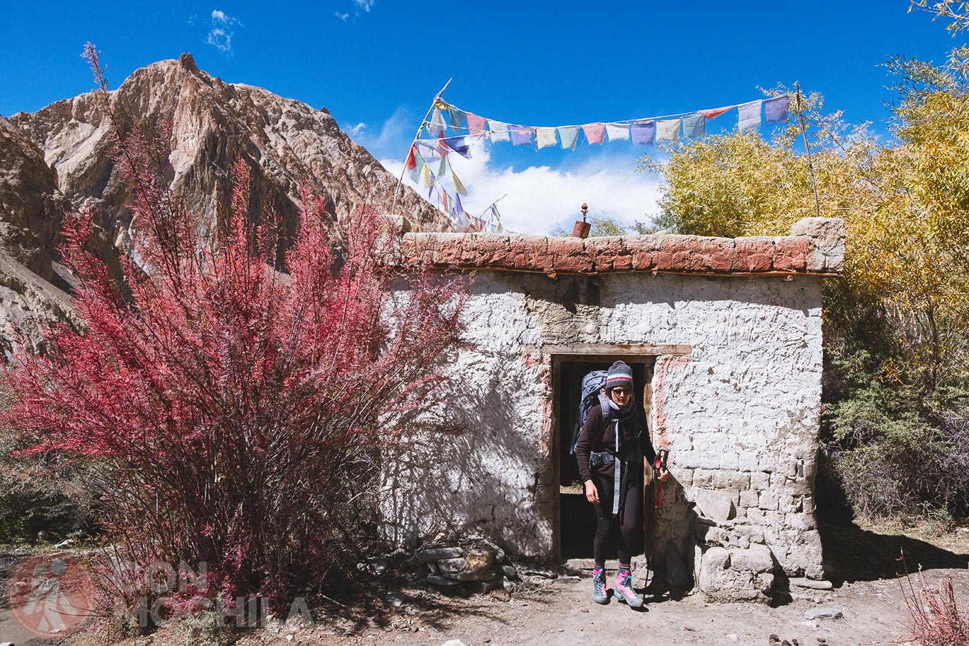 Markha - Upper Hankar (33)