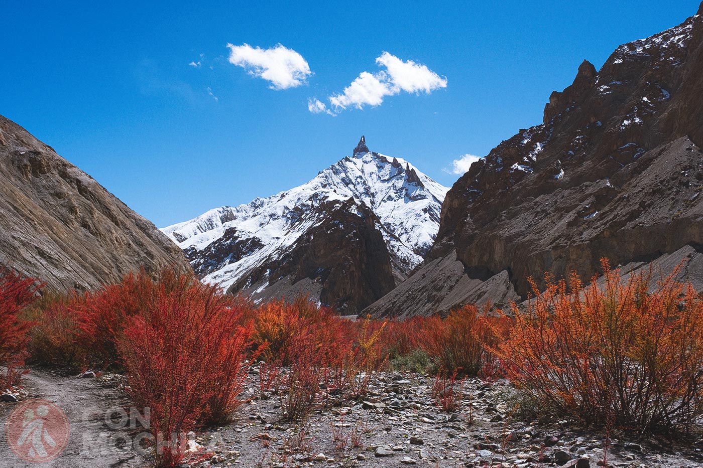 Markha - Upper Hankar (35)