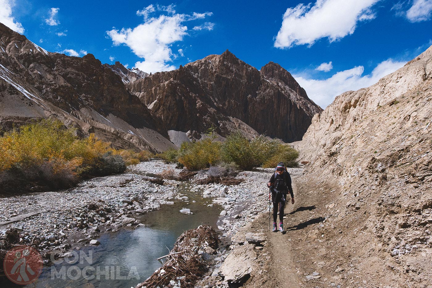 Markha - Upper Hankar (36)
