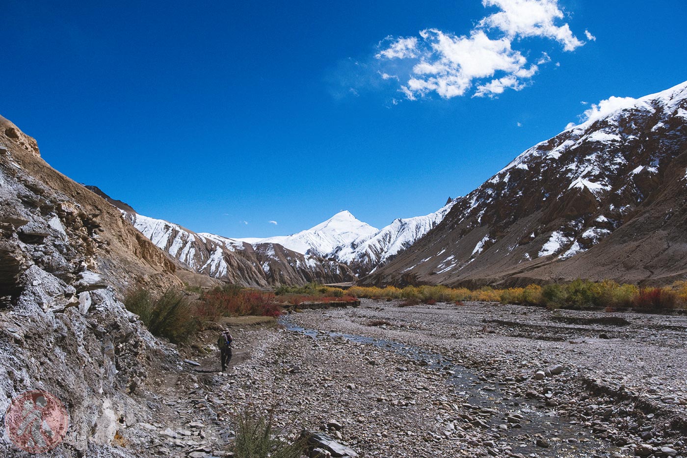 Markha - Upper Hankar (37)