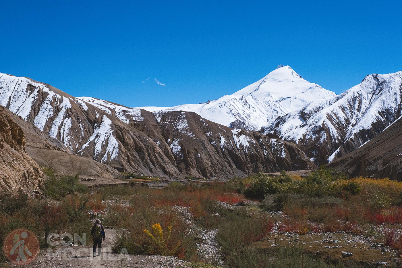 Markha - Upper Hankar (38)