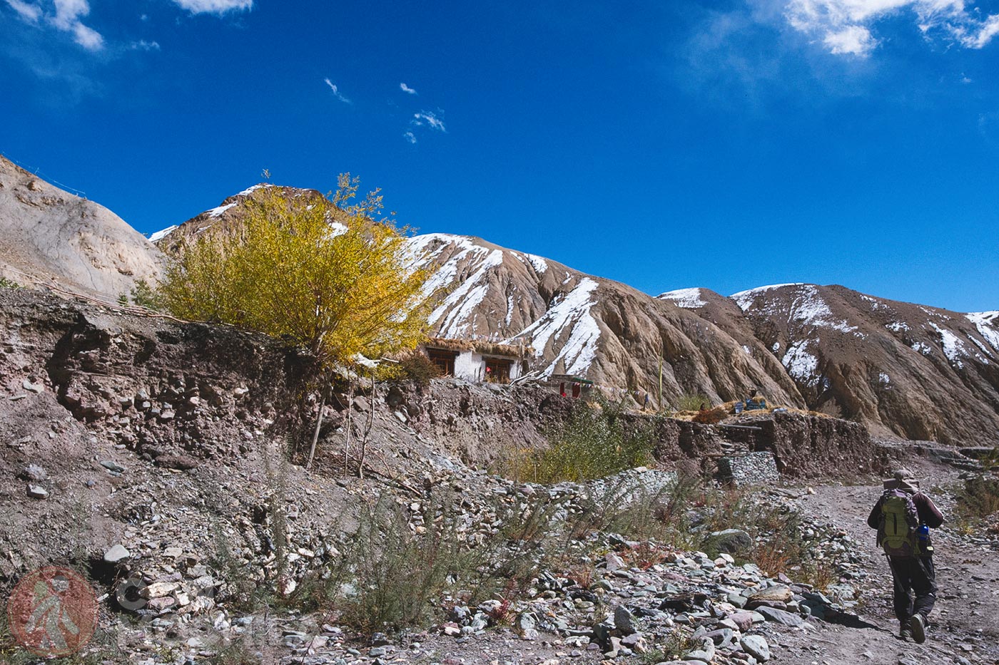 Markha - Upper Hankar (40)