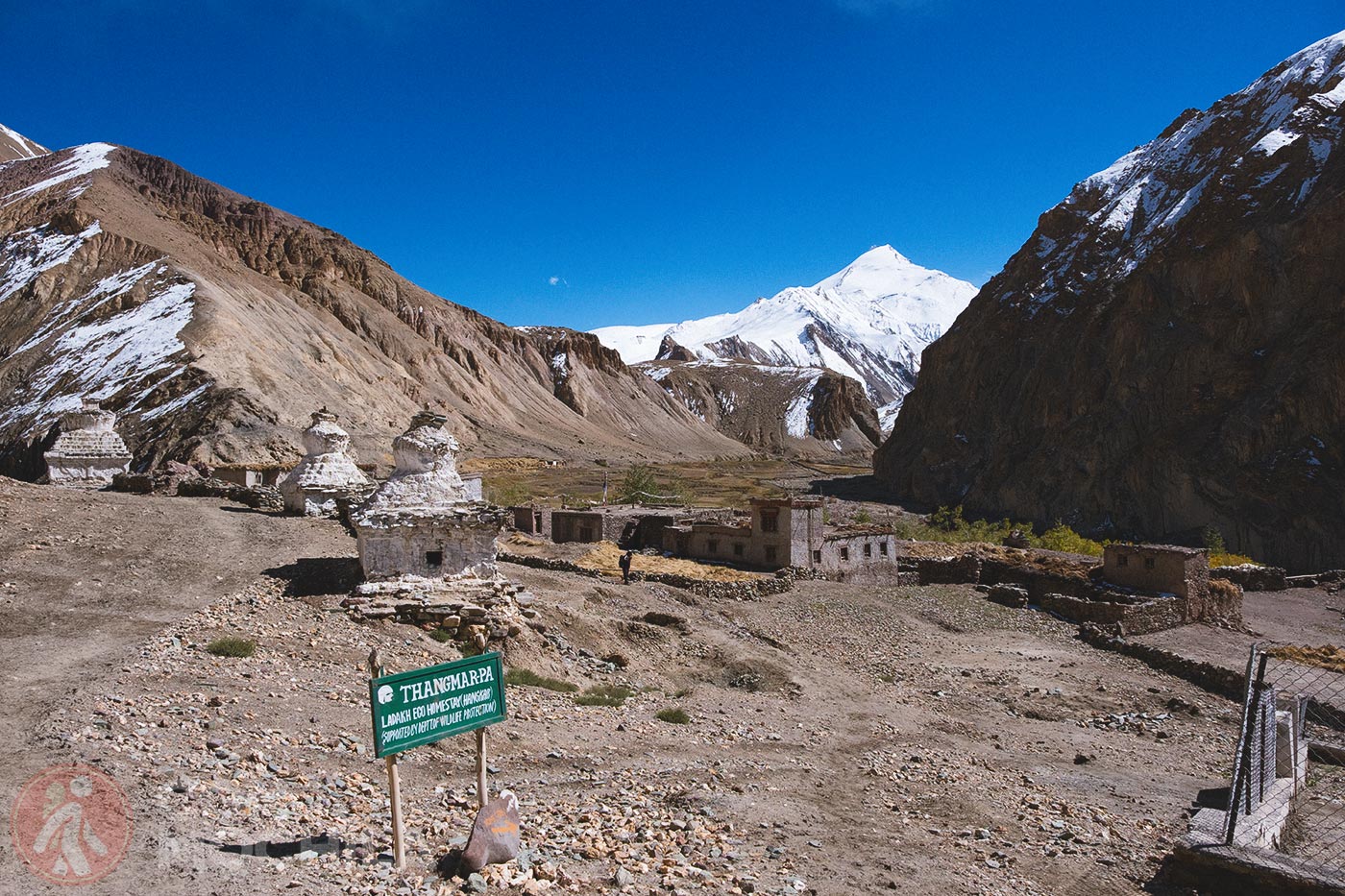 Markha - Upper Hankar (51)