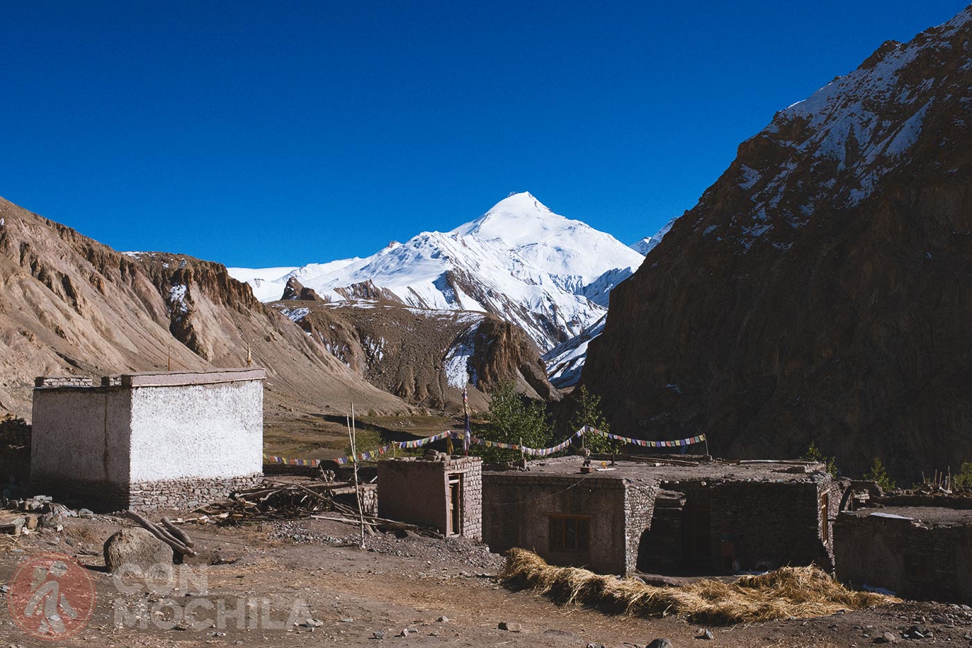 Markha - Upper Hankar (53)