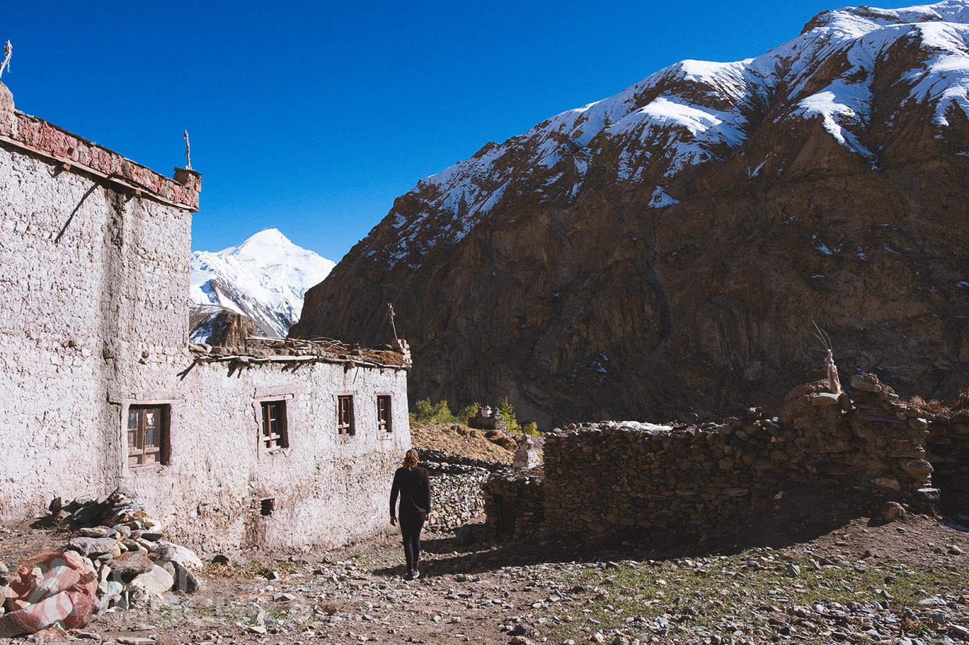 Markha - Upper Hankar (54)