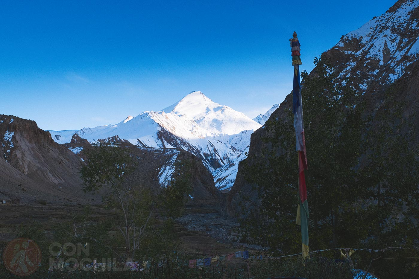 Markha - Upper Hankar (57)