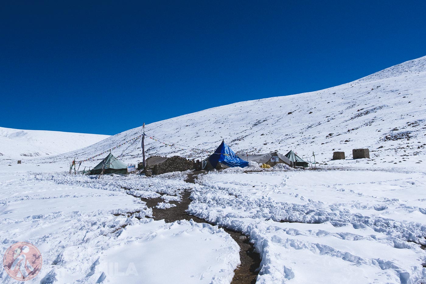 Upper Hankar - Nimaling (31)