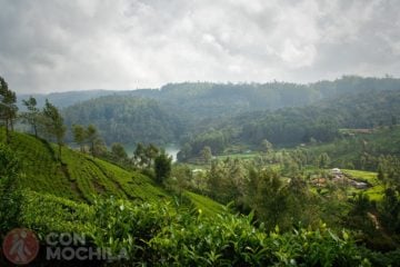 NUWARA ELIYA