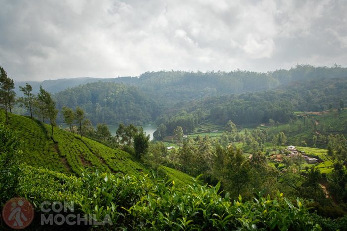 NUWARA ELIYA