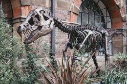 The Sedgwick museum of earth sciences