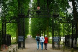 Fellow´s garden