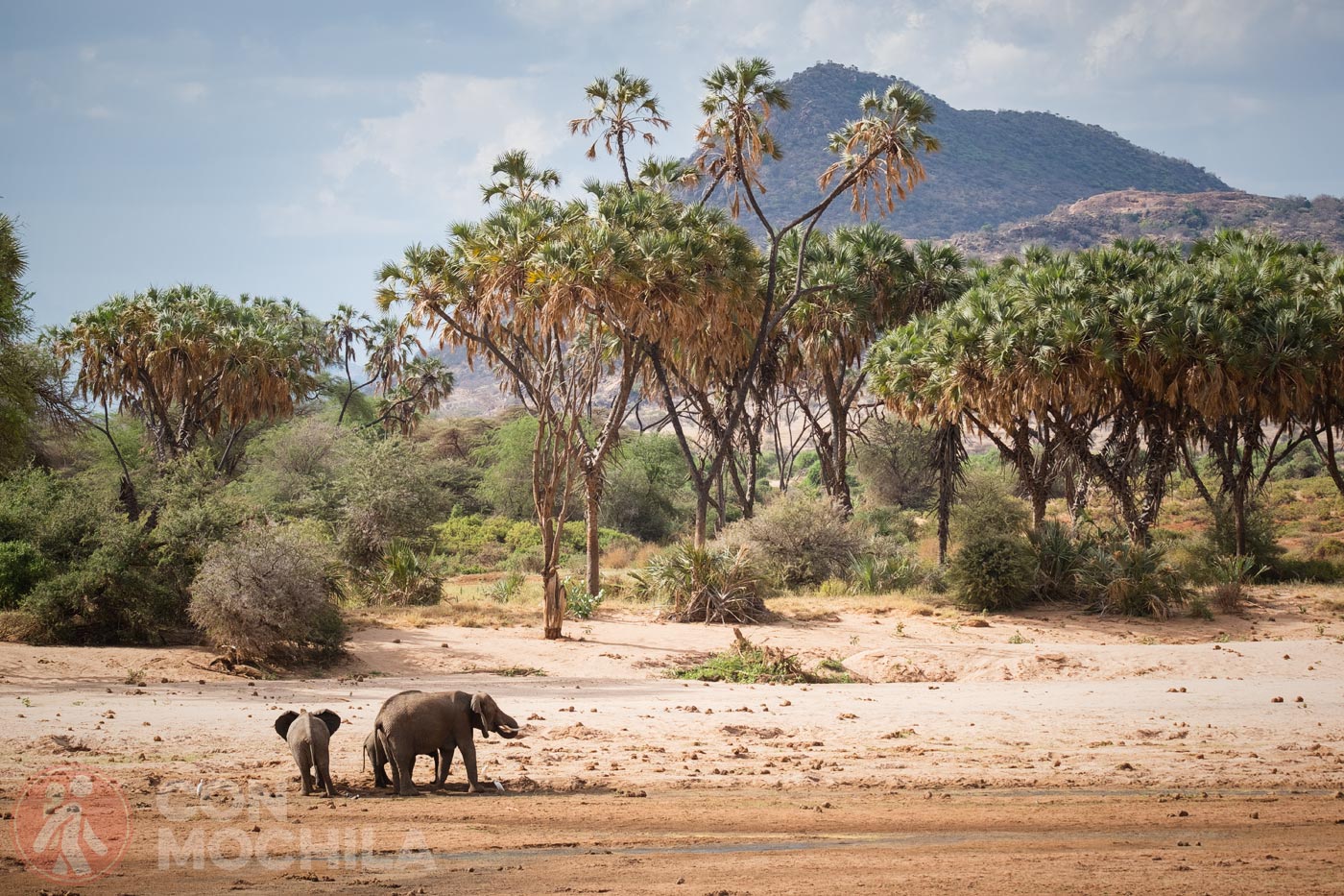 SAMBURU Y BUFFALO HILL