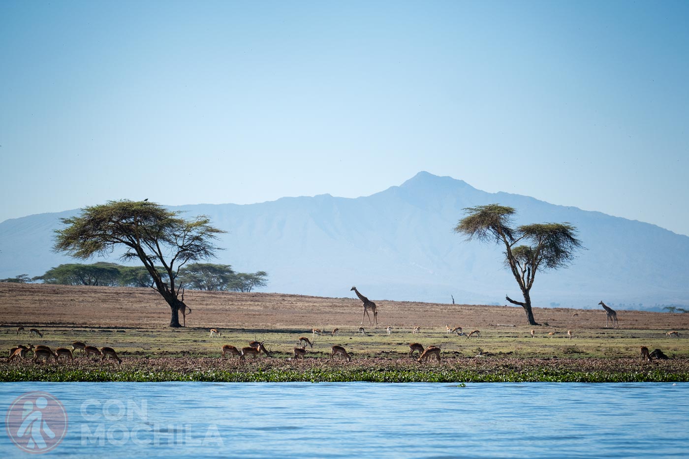 Lago Naivasha