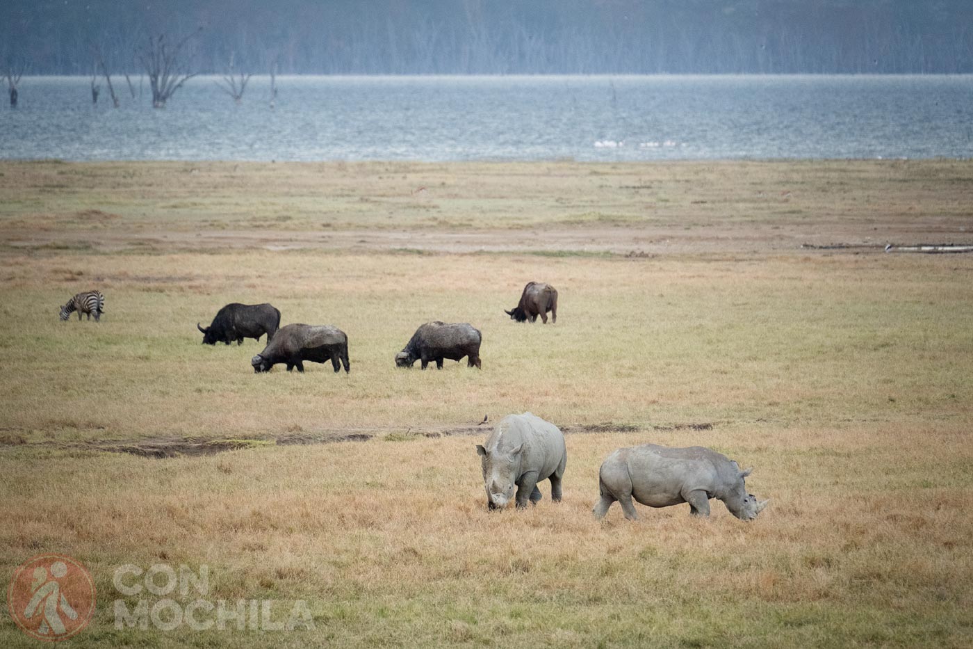 Lago Nakuru