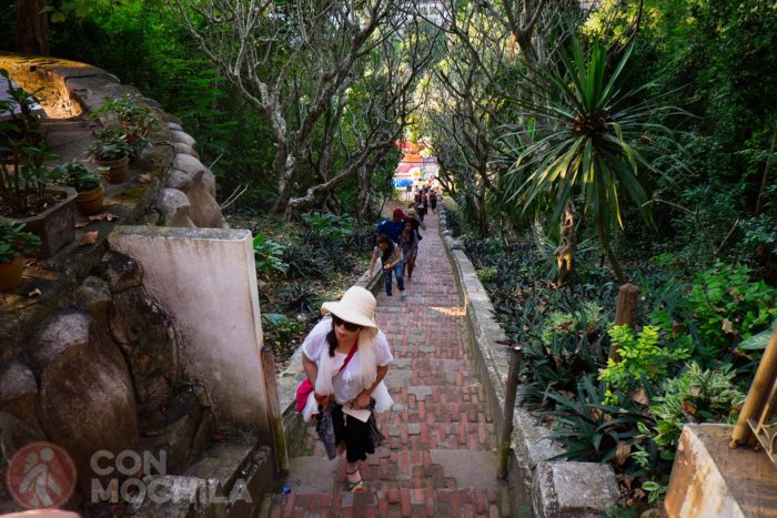 Todo el mundo a subir escalones