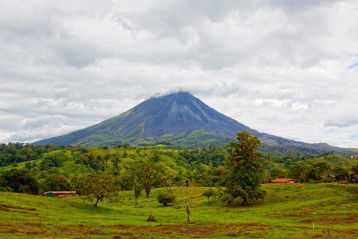 PURA VIDA MAE!