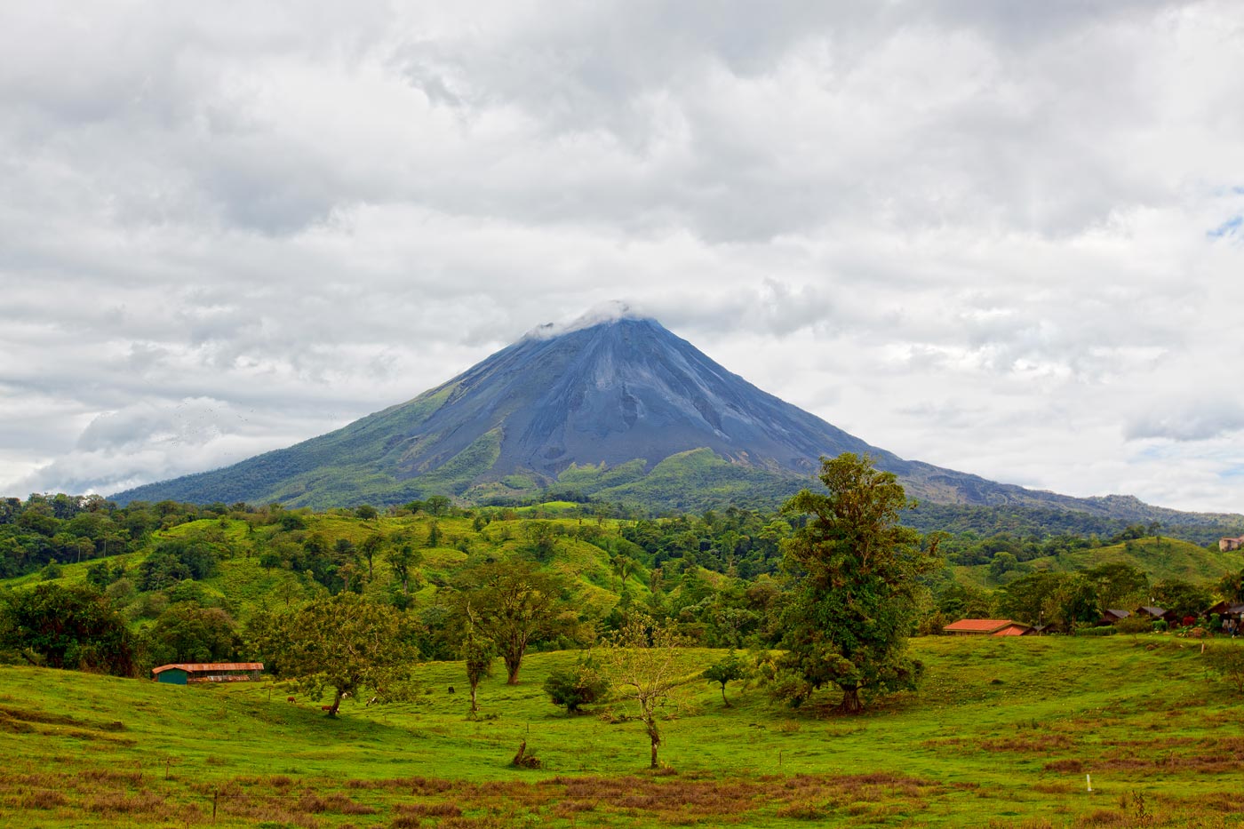 PURA VIDA MAE!