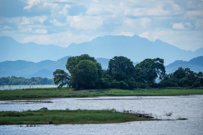 Parque Nacional Angammediya