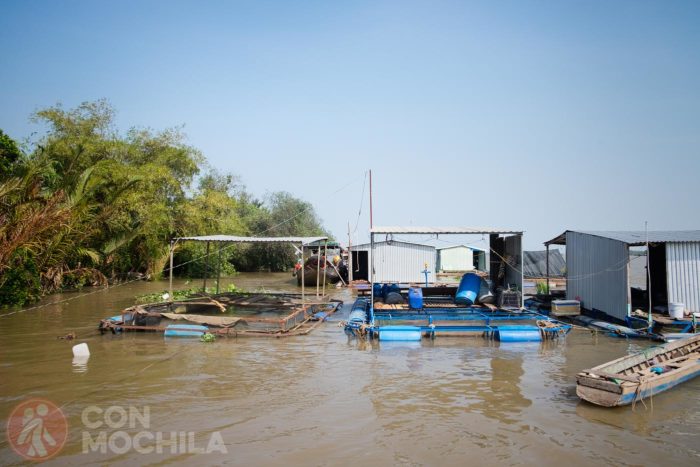 Piscifactoría en el mismo río