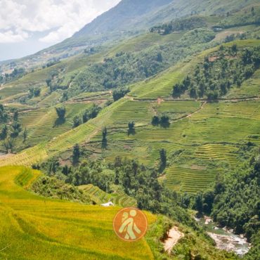SAPA