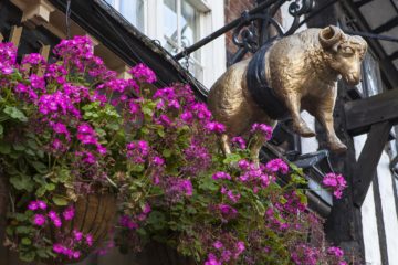 Pub The Golden Fleece en York