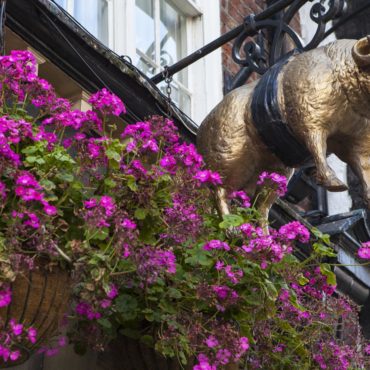 Pub The Golden Fleece en York
