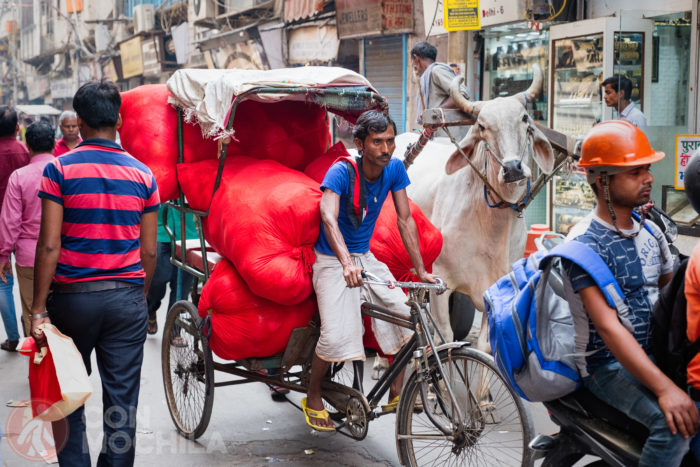 Transporte de todo tipo