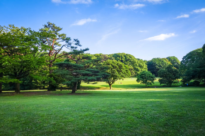 Yoyogi Park