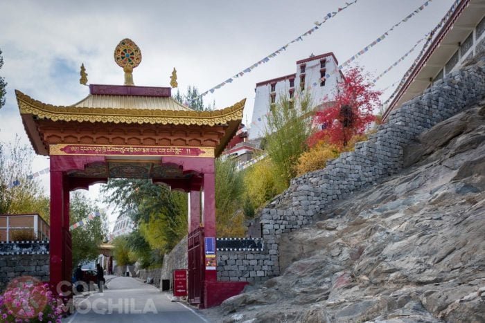 Acceso al monasterio Thiksey