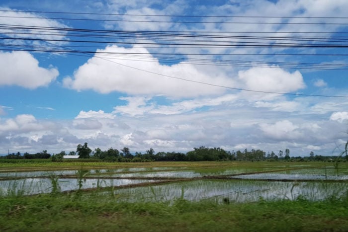 Arrozales norte Tailandia