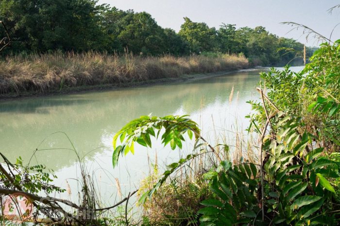 Zona del río