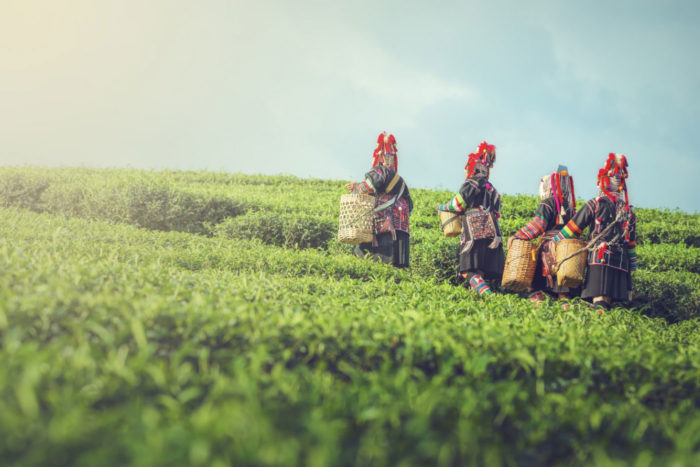 mujeres Akha Tailandia