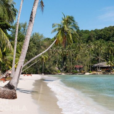 KOH KOOD