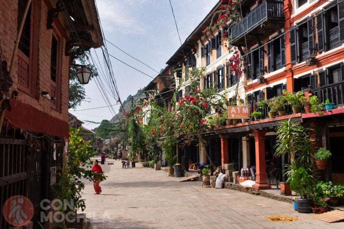 ... a Bandipur!