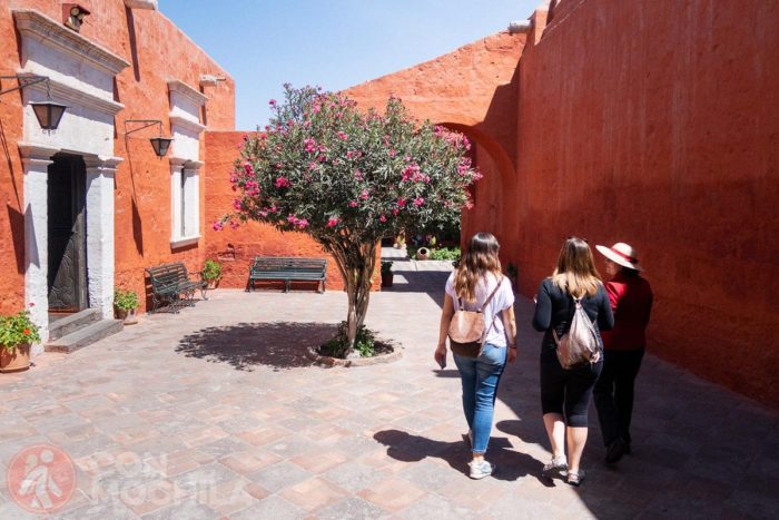 Visita guiada