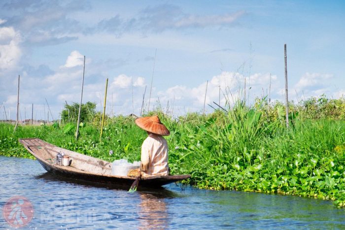 El huerto de tomates flotante