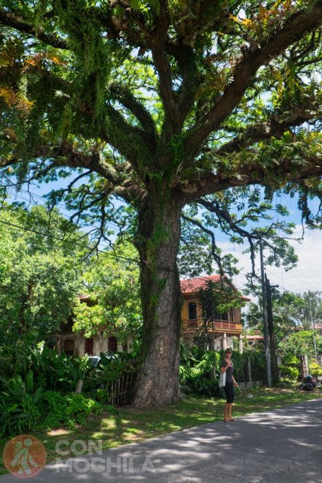 El encantador pueblo de Silay