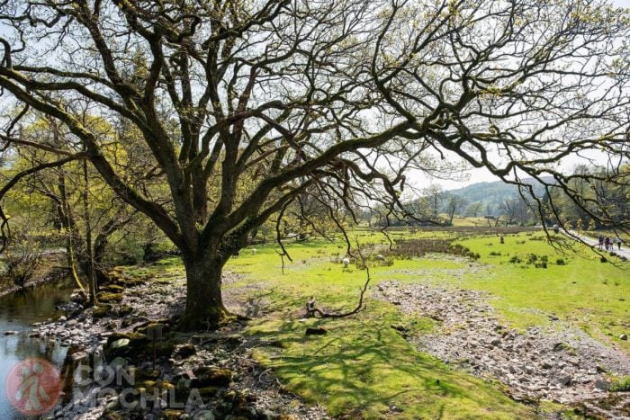 Lugar ideal para dar largos paseos en la natraleza
