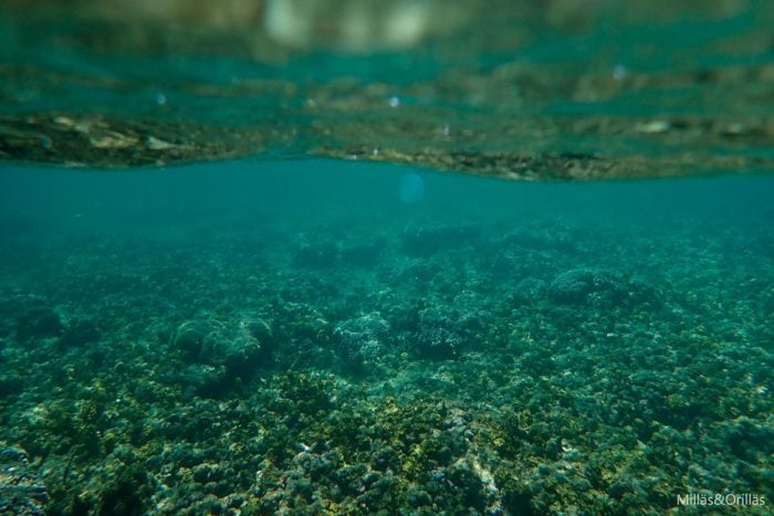 Arrecife en Sumatra