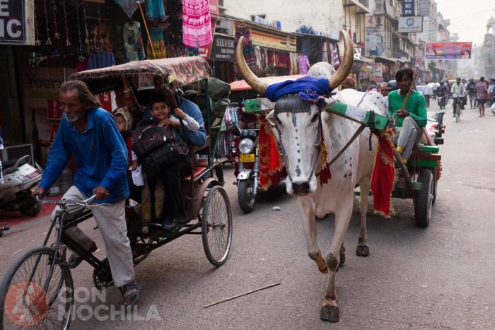 Paharganj, ¿estás preparado para ello?