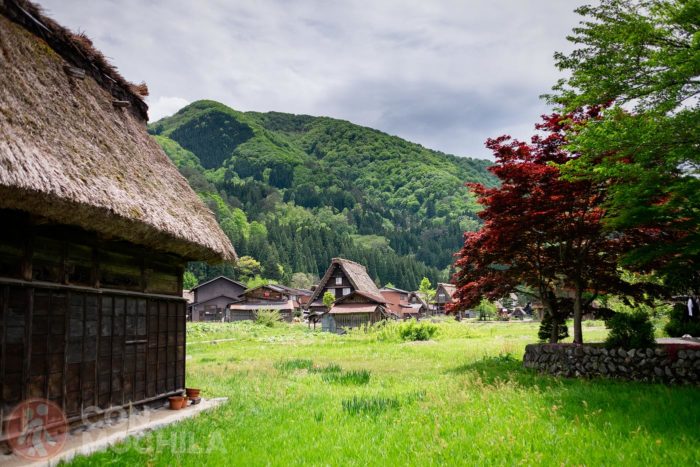 Descubre las casas típicas