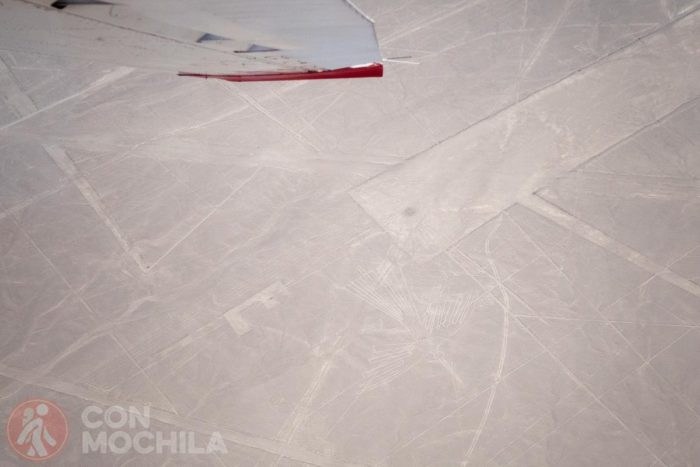 El cóndor de las líneas de Nazca