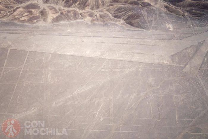 Sobrevolando las líneas de Nazca