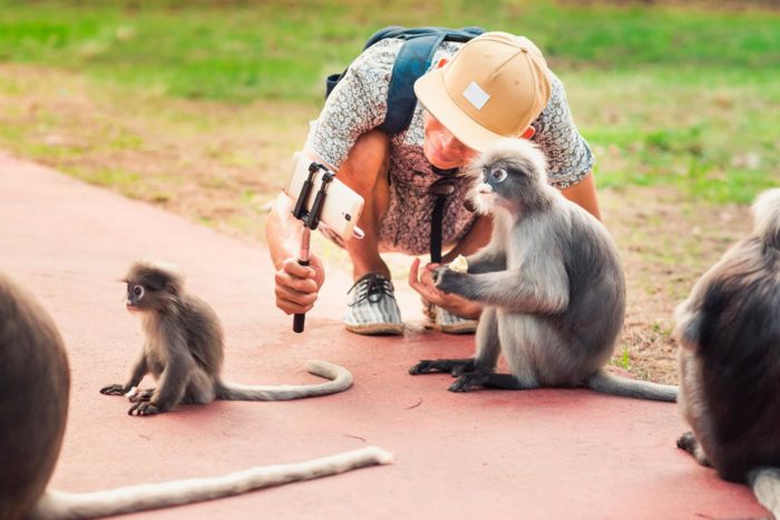 Selfies con animales