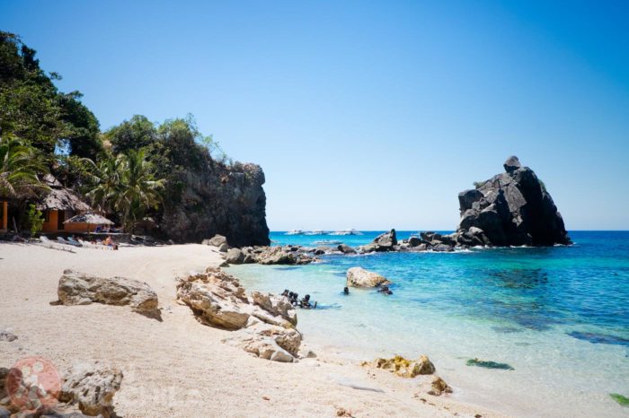 Apo Island