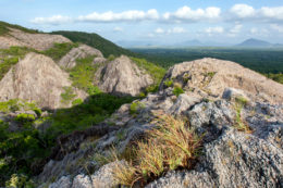 Montaña de cuarzo y bosque de hierro de Dambulla