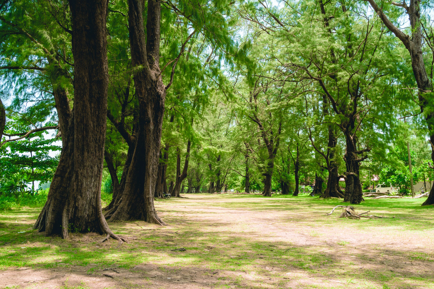 Sirinat National Park