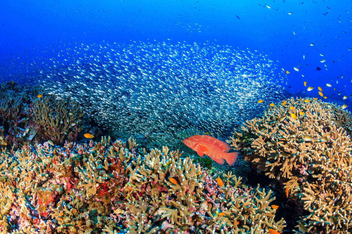 Similan Islands
