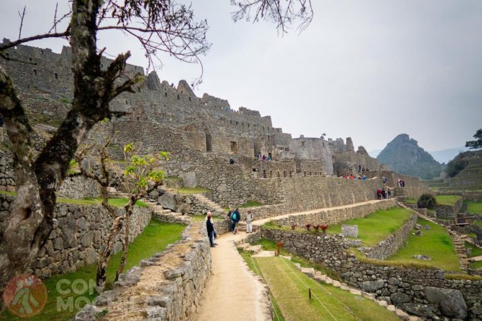 Paseando por la ciudadela
