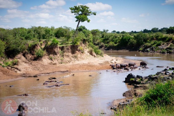 Fiesta en el río